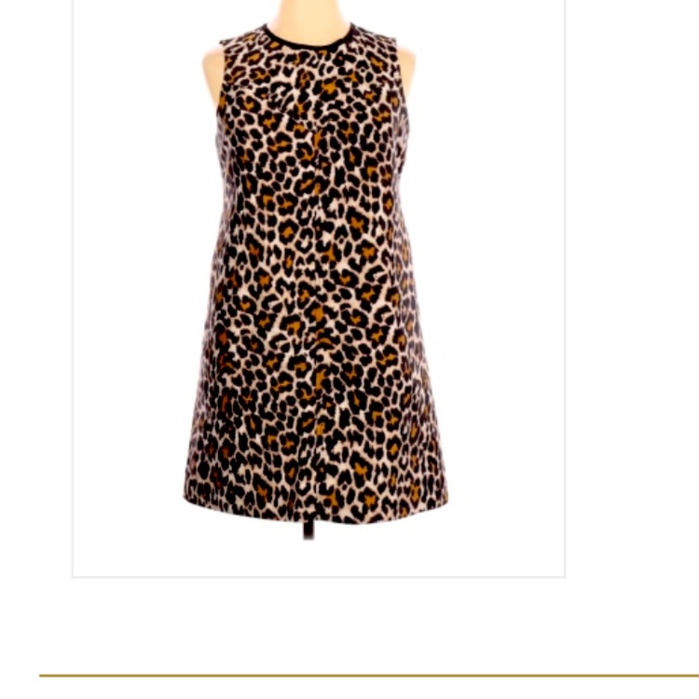 J. Crew leopard print mini dress